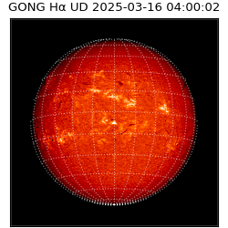 gong - 2025-03-16T04:00:02