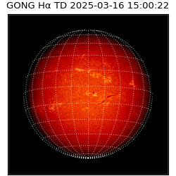 gong - 2025-03-16T15:00:22