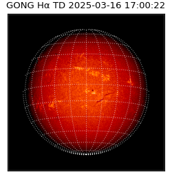 gong - 2025-03-16T17:00:22