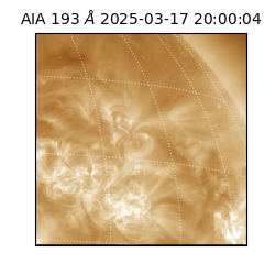 saia - 2025-03-17T20:00:04.843000