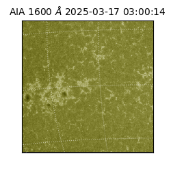 saia - 2025-03-17T03:00:14.125000