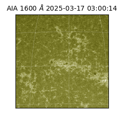 saia - 2025-03-17T03:00:14.125000