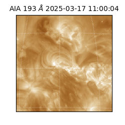 saia - 2025-03-17T11:00:04.843000