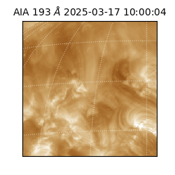 saia - 2025-03-17T10:00:04.835000