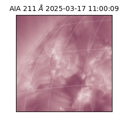 saia - 2025-03-17T11:00:09.626000