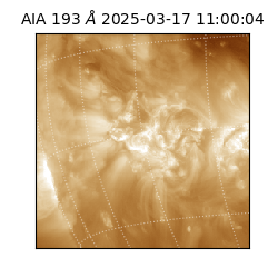 saia - 2025-03-17T11:00:04.843000