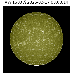 saia - 2025-03-17T03:00:14.125000