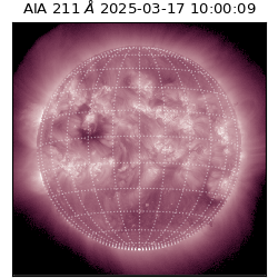 saia - 2025-03-17T10:00:09.618000