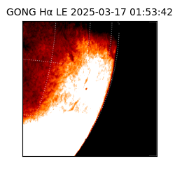 gong - 2025-03-17T01:53:42