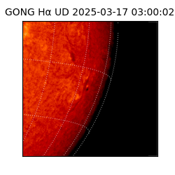 gong - 2025-03-17T03:00:02