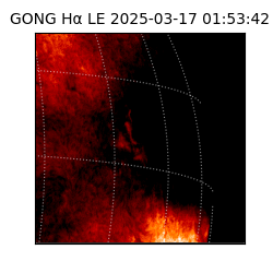 gong - 2025-03-17T01:53:42
