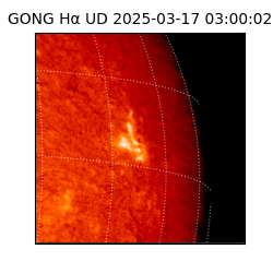 gong - 2025-03-17T03:00:02