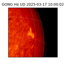 gong - 2025-03-17T10:00:02