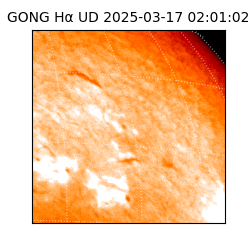 gong - 2025-03-17T02:01:02