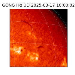 gong - 2025-03-17T10:00:02