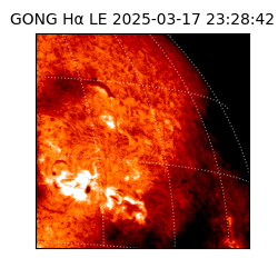 gong - 2025-03-17T23:28:42