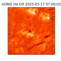 gong - 2025-03-17T07:00:02