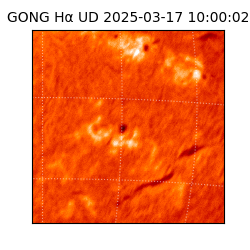 gong - 2025-03-17T10:00:02