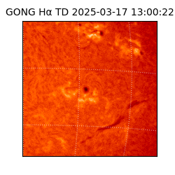 gong - 2025-03-17T13:00:22