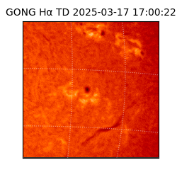 gong - 2025-03-17T17:00:22