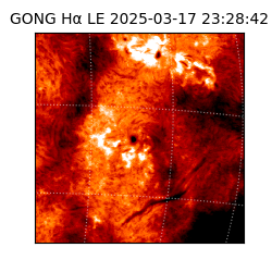 gong - 2025-03-17T23:28:42