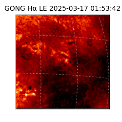 gong - 2025-03-17T01:53:42