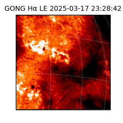 gong - 2025-03-17T23:28:42