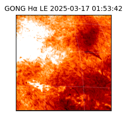 gong - 2025-03-17T01:53:42