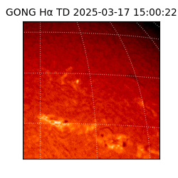 gong - 2025-03-17T15:00:22