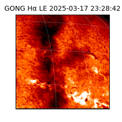 gong - 2025-03-17T23:28:42