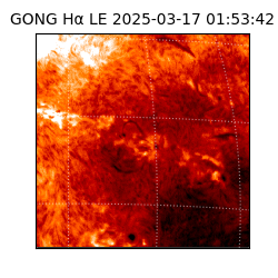 gong - 2025-03-17T01:53:42