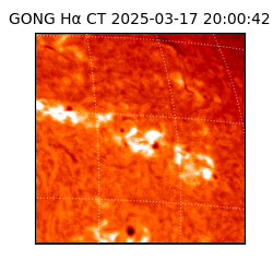 gong - 2025-03-17T20:00:42