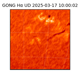 gong - 2025-03-17T10:00:02