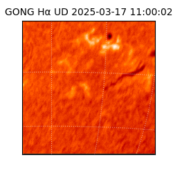 gong - 2025-03-17T11:00:02