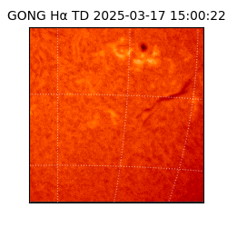 gong - 2025-03-17T15:00:22