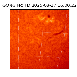 gong - 2025-03-17T16:00:22