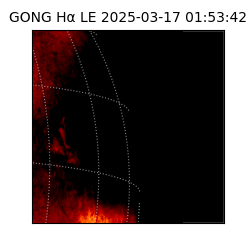 gong - 2025-03-17T01:53:42