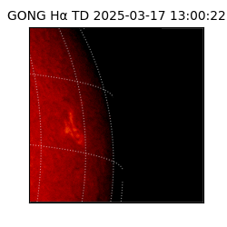 gong - 2025-03-17T13:00:22