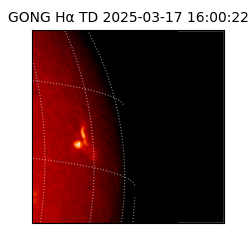 gong - 2025-03-17T16:00:22