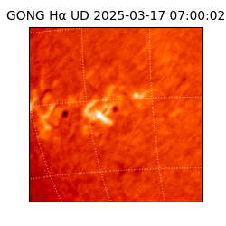 gong - 2025-03-17T07:00:02