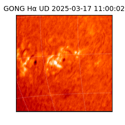 gong - 2025-03-17T11:00:02