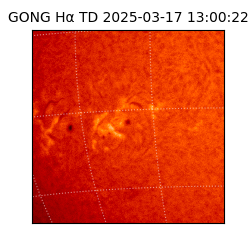 gong - 2025-03-17T13:00:22