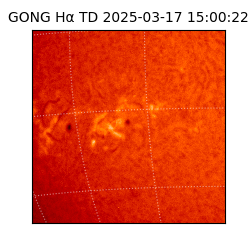 gong - 2025-03-17T15:00:22