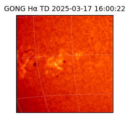 gong - 2025-03-17T16:00:22