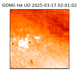 gong - 2025-03-17T02:01:02