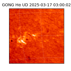 gong - 2025-03-17T03:00:02