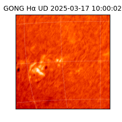 gong - 2025-03-17T10:00:02