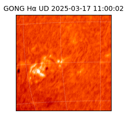 gong - 2025-03-17T11:00:02