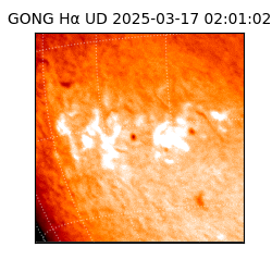 gong - 2025-03-17T02:01:02