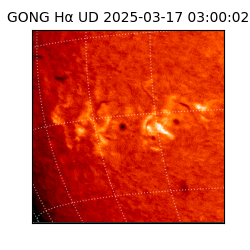 gong - 2025-03-17T03:00:02